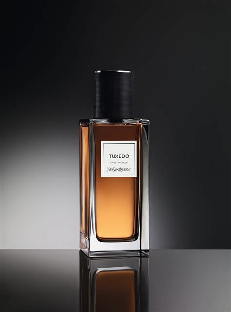 tronchetto ysl|Tuxedo Yves Saint Laurent for women and men .